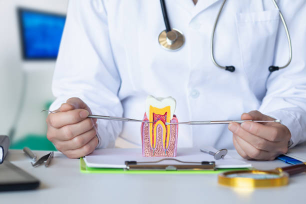 Best Emergency Dental Surgery in Nth Bend, OR